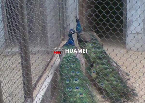 peacock enclosure for sale Huamei wire mesh