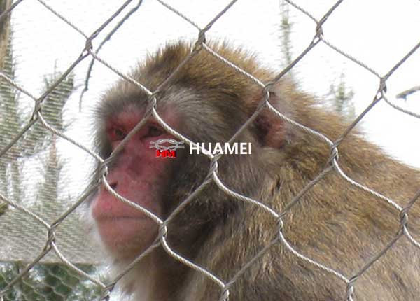 zoo enclosure from Huamei wire mesh