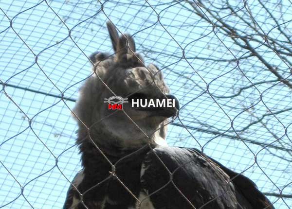 hawk netting from Huamei wire mesh