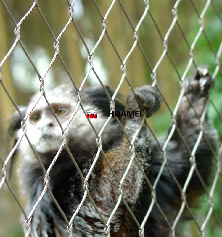 What is Mesh Netting? Building Safe Animal Enclosures