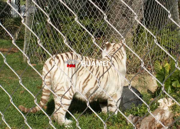 animal barrier fence