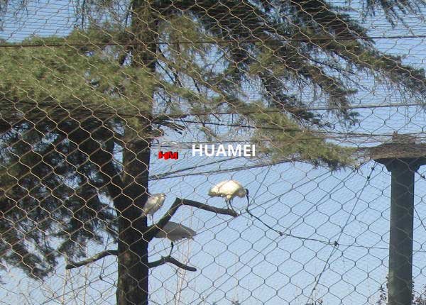 bird netting for roof supplier huamei