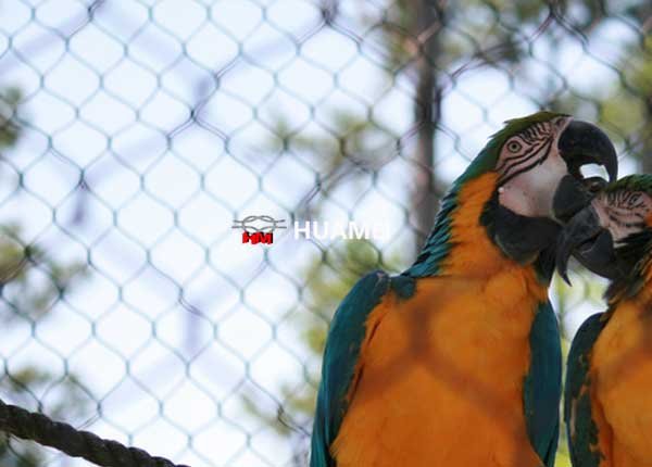 outdoor macaw aviary