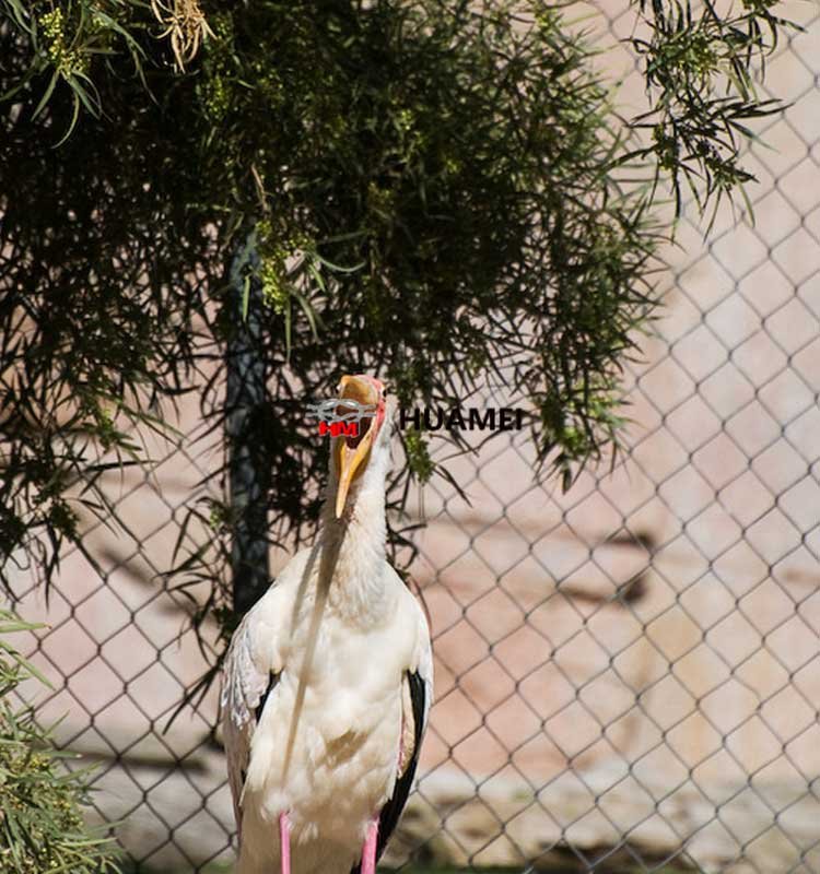 Stainless rope wire mesh for aviary and bird screens